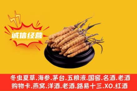 青原区回收冬虫夏草